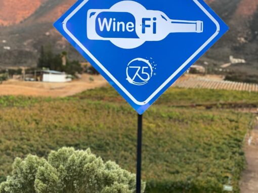 313174573_637867541210173_6912468137546220920_n