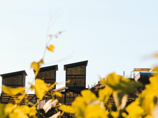 361887930_993934548685136_3993349436594478096_n