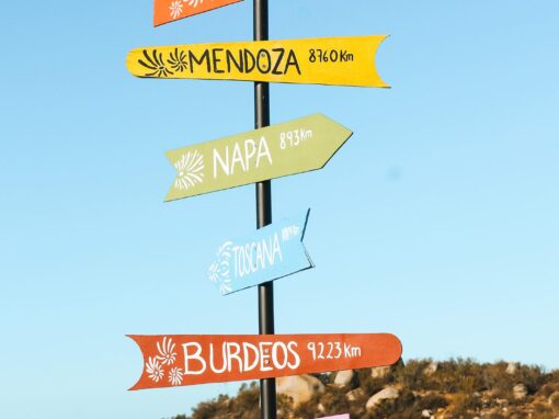 363806624_999914514753806_9130754439247707364_n