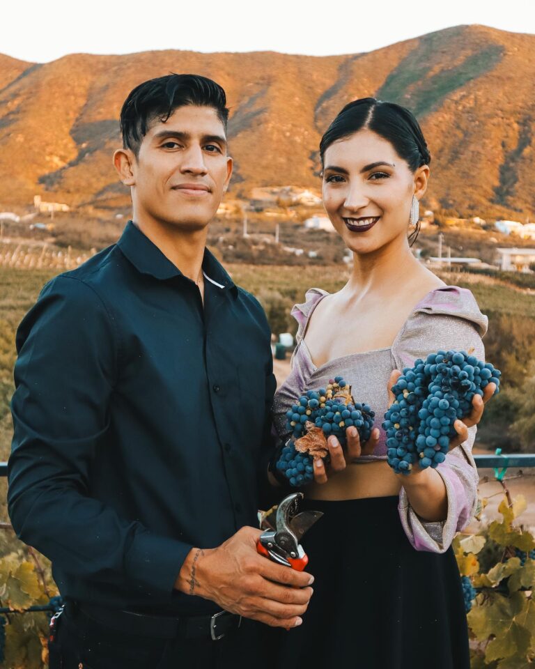 Pareja tomando fotos al atardecer en viñedos de Valle de Guadalupe