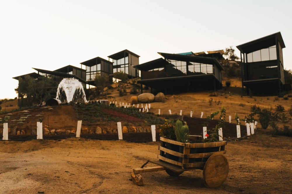 Paisajes de viñedos y arquitectura en Valle de Guadalupe - Blog Origen 75
