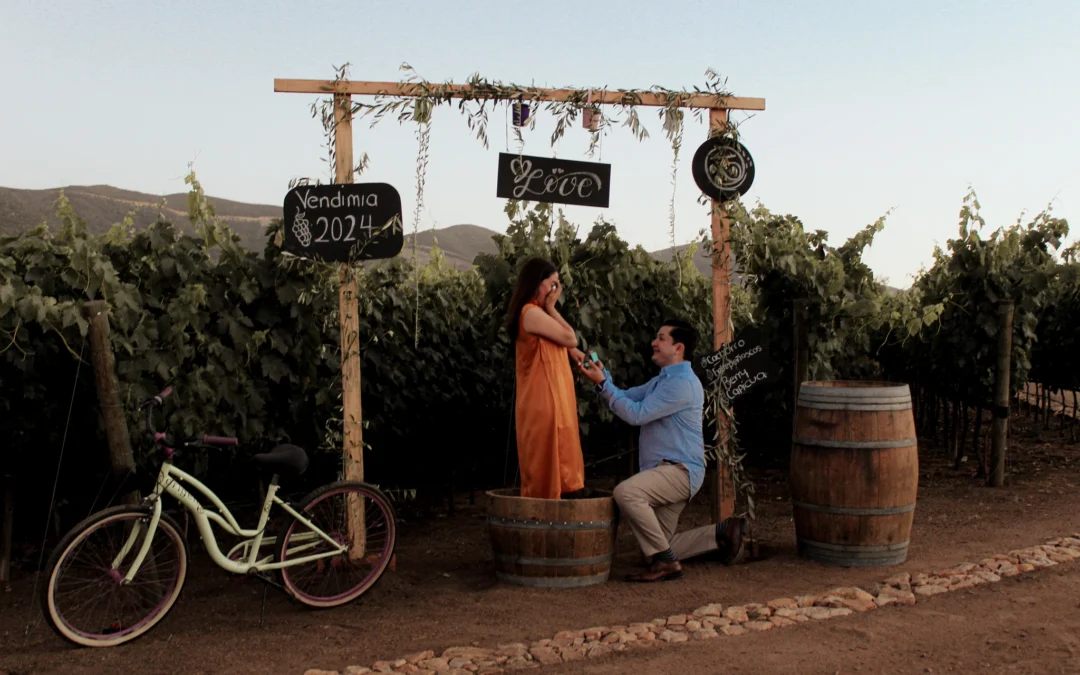Hotel Viñedo en Valle de Guadalupe: La Experiencia de Dormir Entre Vides