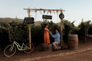 Hotel Viñedo en Valle de Guadalupe: La Experiencia de Dormir Entre Vides
